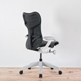 Herman Miller Mirra 2 Alpine Frame / Graphite Seat & Back Office Chair | Re-Lived