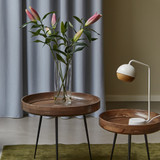 Mater Ray Table Lamp on a table