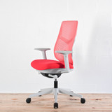 Herman Miller Verus Persimmon TriFlex Back Office Chair | Re-Lived