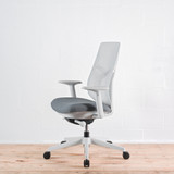 Herman Miller Verus Mineral TriFlex Back Office Chair - Special Edition| Re-Lived