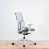 Herman Miller Verus Mineral TriFlex Back Office Chair - Special Edition| Re-Lived