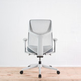 Herman Miller Verus Mineral TriFlex Back Office Chair - Special Edition| Re-Lived