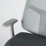 Herman Miller Verus Mineral TriFlex Back Office Chair - Special Edition| Re-Lived