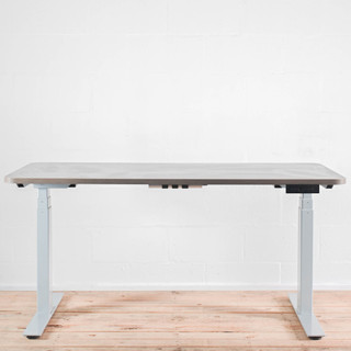 Wellworking Electric Height Adjustable Standing Desk|Re-Lived
