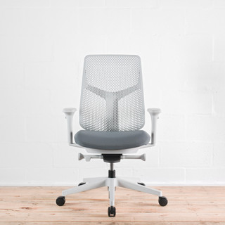 Herman Miller Verus Mineral TriFlex Back Office Chair - Special Edition| Re-Lived