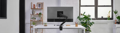 Monitor Arms Image