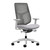 Herman Miller TriFlex Back Office Chair with Dark Carbon back