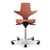 HAG Capisco 8020 Rosehip