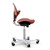HAG Capisco 8020 Rosehip