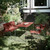 Mater Ocean Outdoor Chairs in Burnt Red around an outdoor table Mater Ocean Outdoor Chairs in Burnt Red around an outdoor table