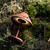 Mater Terra Portable Lamp in Coffee Rust Red lying in grass Mater Terra Portable Lamp in Coffee Rust Red lying in grass