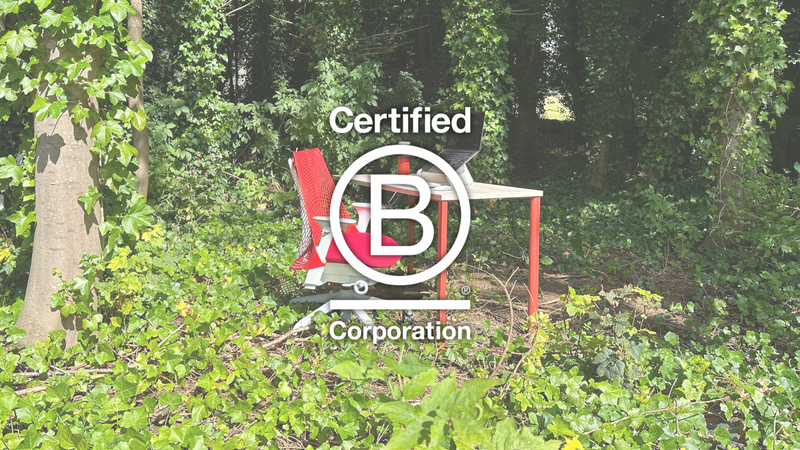 Leading the Way in Sustainability with B Corp® and Greener Choice