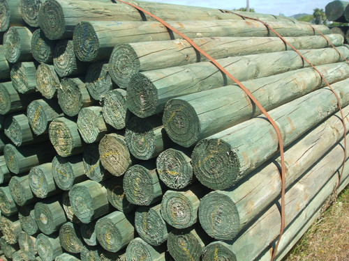 No. 3 H4 Round Posts @ 1.8m - Point Timber