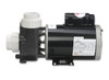 1.0 HP AquaFlo Flo-Master XP-XP2 56-Frame 2" Spa Pump complete, 1.0hp, 230v, 2-spd