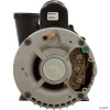  Waterway Spa Pump, Executive, 56FR, 4 hp,230 volt, 2spd. 2" intake, 3721621-1D 