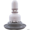  Waterway Adjustable Whirlpool Jet Scallop Grey 