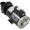  Viking Spas Pump 6.0. H.P. 56 fr. 1 Speed, 240V 