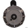 Jacuzzi® Spas Jacuzzi® Cygnet Spa Pump Motor C-Face Thd 1.5HP Sgl Spd 115/230V B129 (#21) 