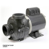 Cal Spas Cal Spa Pump, Circ, .1 HP 240 V 1 Spd 56 Fr 2" In/Out  Cal Spas Cal Spa Pump, Circ, .1 HP 240 V 1 Spd 56 Fr 2" In/Out