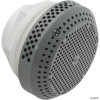 Coleman Spas 100725 Coleman Spas Suction, 2 3/8" HS, 3 1/2" Face, 2" x 100 GPM, Gray 