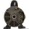 Pump,Circ,Gecko Aqua Flo CMCP,1/15hp,230v,1-1/2",OEM   Pump,Circ,Gecko Aqua Flo CMCP,1/15hp,230v,1-1/2",OEM