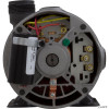 Pump, Aqua Flo FMHP, 2.0hp Century, 230v, 2-Spd, 48fr,1-1/2"   Pump, Aqua Flo FMHP, 2.0hp Century, 230v, 2-Spd, 48fr,1-1/2"