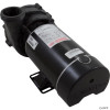 Gecko Pump, Aqua Flo XP2e, 1.5hp, 115v/230v, 1-Spd, 48fr, 2" 