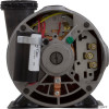 Pump, Aqua Flo XP2e, 2.0hp, 230v, 2-Spd, 48fr, 2"   Pump, Aqua Flo XP2e, 2.0hp, 230v, 2-Spd, 48fr, 2"