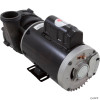  Pump, Aqua Flo XP2e, 4.0hp US Motor, 230v, 1-Spd, 56fr, 2" 