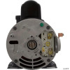 Pump, BWG Vico Ultima, 1.0hp USMtr, 115v, 2-Spd, 48fr,1-1/2"   Pump, BWG Vico Ultima, 1.0hp USMtr, 115v, 2-Spd, 48fr,1-1/2"