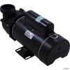 Pump, BWG Vico Ultima, 1.5hp, 115v,2-Spd,48fr,2",Side Disch   Pump, BWG Vico Ultima, 1.5hp, 115v,2-Spd,48fr,2",Side Disch