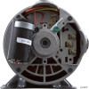 Pump, BWG Vico Ultima, 1.5hp, 230v, 2-Spd,48fr,2",Side Disch   Pump, BWG Vico Ultima, 1.5hp, 230v, 2-Spd,48fr,2",Side Disch