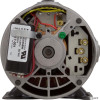  Pump, BWG Vico Ultima, 2.0hp, 230v, 2-Spd,48fr,2",Side Disch 