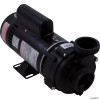 Pump, BWG Vico Ultima, 3.0hp, 230v,2-Spd,48fr,2" (1)
