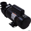  Pump, BWG Vico Ultima, 3.0hp, 230v,2-Spd,48fr,2" 