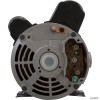  Pump, BWG Vico Ultima, 4.0hp US Motor, 230v, 2-Spd, 48fr, 2" 