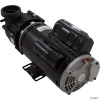  Pump, BWG Vico Ultima, 4.0hp US Motor, 230v, 2-Spd, 48fr, 2" 