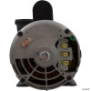  Pump, BWG Vico Ultimax, 1.5hp Century, 230v,2-Spd,56fr,2" 