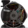 Pump, BWG Vico Ultimax, 1.5hp Century, Conv, 1-Spd, 48fr, 2" (2)