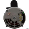  Pump, BWG Vico Ultimax, 4.0hp Century, 230v, 2-Spd, 56fr, 2" 