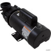  Pump, Ultima, 3.0hp Century, 230v, 2-Spd, 48fr, 2" 