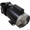 Pump, WW EX2, 3.0hp Century, 230v, 2-Spd, 2", 56fr   Pump, WW EX2, 3.0hp Century, 230v, 2-Spd, 2", 56fr