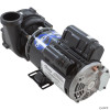  Pump, WW Ex2, 3.0hp / 4.0 SPL, 230v, 2-Spd, 48fr, 2", OEM, 3421821-1U 