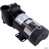 Pump, WW Exec, 1.5hp, 115v, 1-Spd, 48fr, 2", OEM   Pump, WW Exec, 1.5hp, 115v, 1-Spd, 48fr, 2", OEM