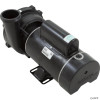  Pump, WW Exec, 1.5hp, 115v, 2-Spd, 48fr, 2" 