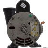  Pump, WW Exec, 1.5hp, 115v, 2-Spd, 48fr, 2", OEM, 3420610-1A 