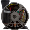 Pump, WW Exec, 2.0hp Century, Conv, 1-Spd, 48fr, 2"   Pump, WW Exec, 2.0hp Century, Conv, 1-Spd, 48fr, 2"