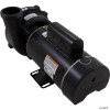  Pump, WW Exec, 3.0hp Century, 230v, 2-Spd, 48fr, 2" 