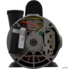 Pump, WW Exec, 3.0hp Century, 230v, 2-Spd, 48fr, 2" 