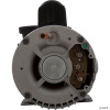  Pump, WW Exec, 3.0hp US Motor, 230v, 2-Spd, 56fr, 2" 
